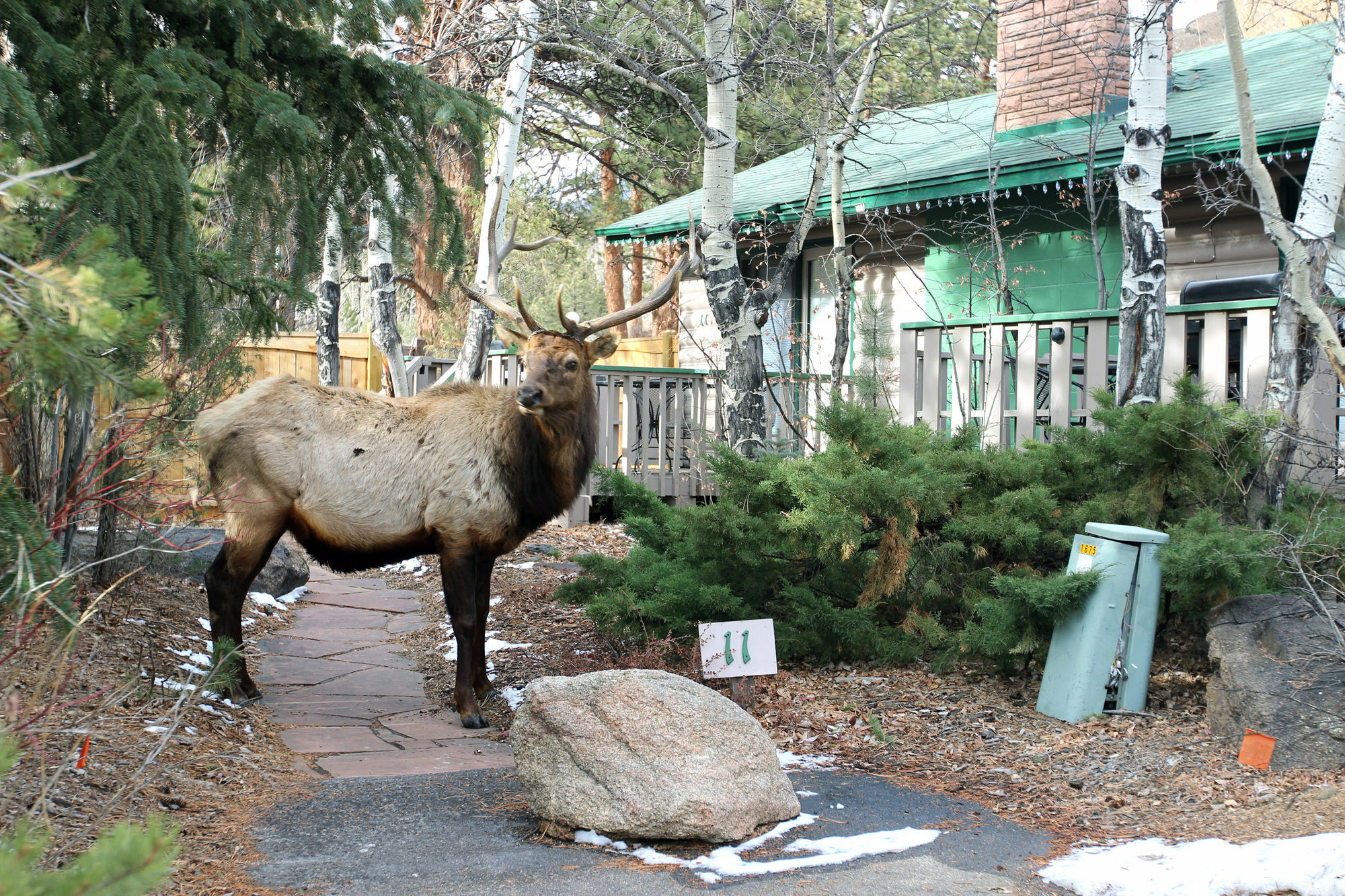 Sunnyside Knoll Resort Estes Park Bagian luar foto